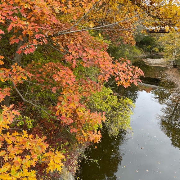 Meet your Posher, Elaine - Picture 3 of 4